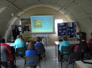 Dog Safety and Anti Social behaviour 2012